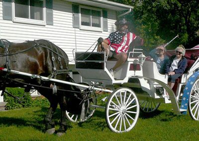 A man driving a horse-drawn carriage on grass.